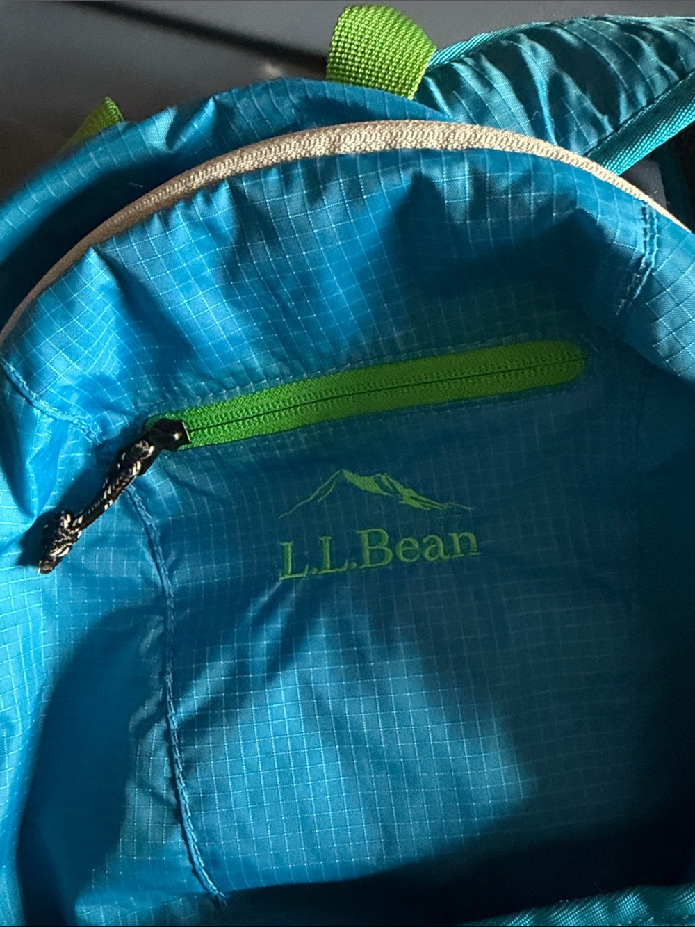 L.L. Bean  Blue Daypack Jacket-Style Backpack - Picture 8 of 12